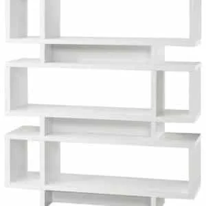 Modern Style Shelve